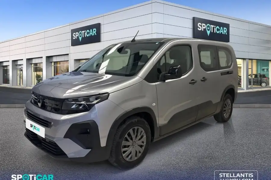 Brugt Peugeot Riffter 