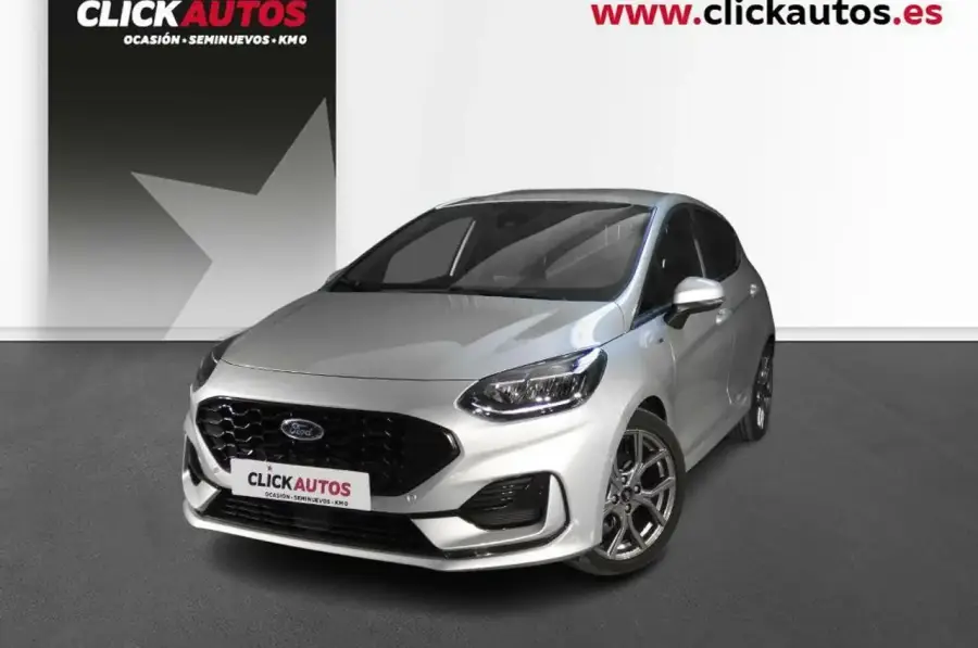 Brugt Ford Fiesta 1.0 EcoBoost
