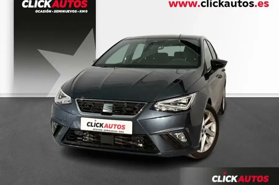 Brugt Seat Ibiza 