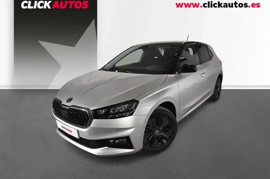 Brugt Škoda Fabia 1.0 dsg tsi