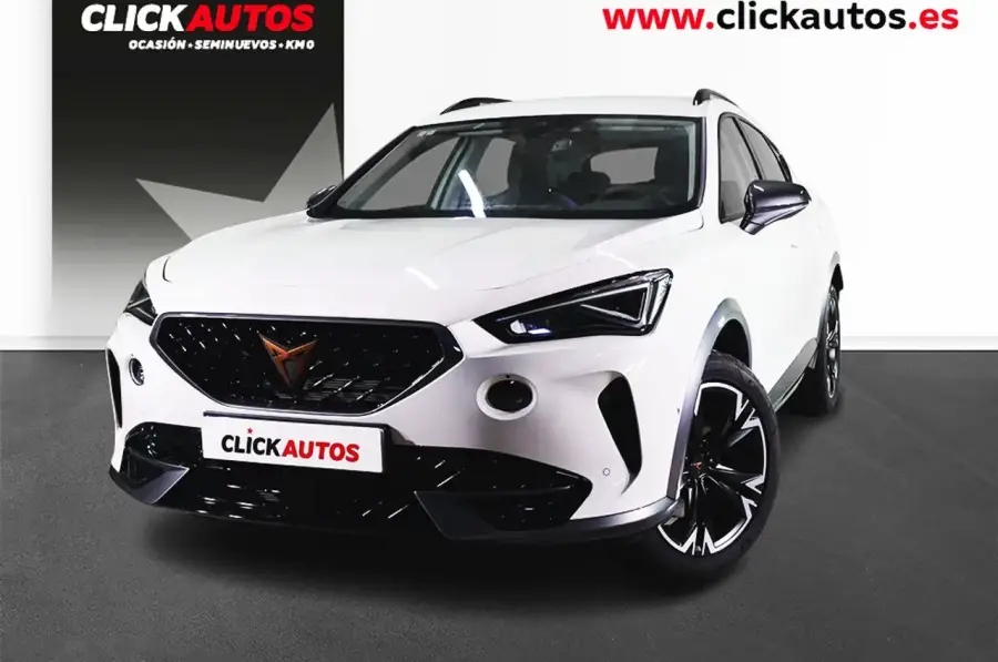 Brugt Cupra Formentor 