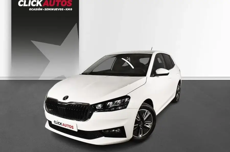 Brugt Škoda Fabia 1.0 tsi