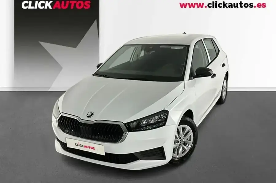 Brugt Škoda Fabia 1.0
