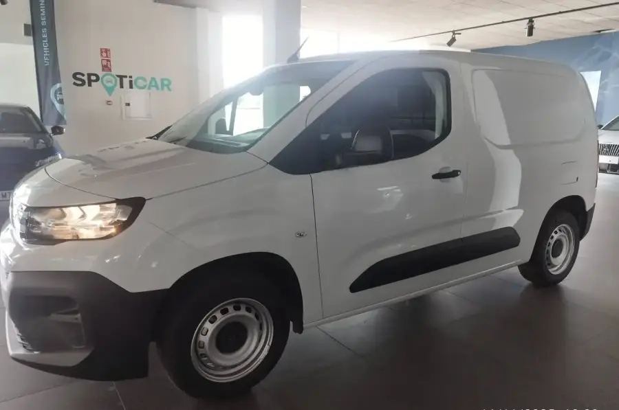 Brugt Peugeot Riffter 