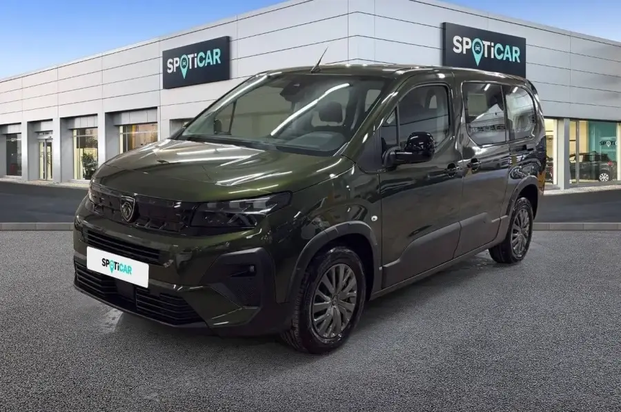 Brugt Peugeot Riffter 