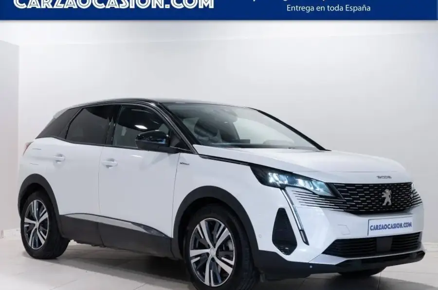 Brugt Peugeot 3008 1.6