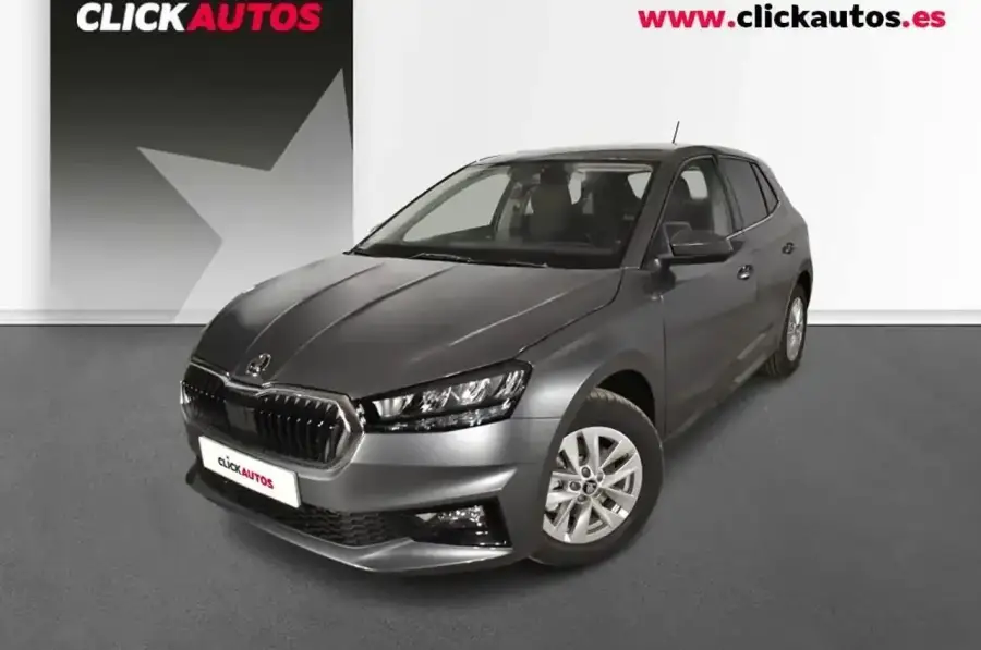 Brugt Škoda Fabia 1.0 dsg tsi