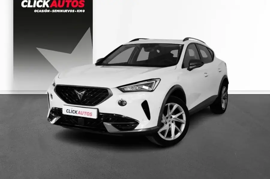 Brugt Cupra Formentor 