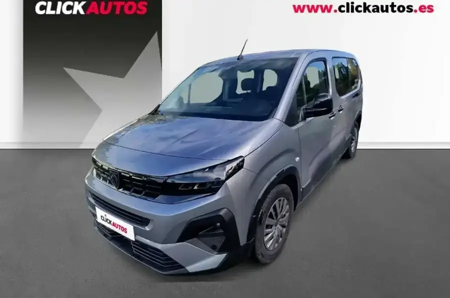 Brugt Peugeot Riffter 