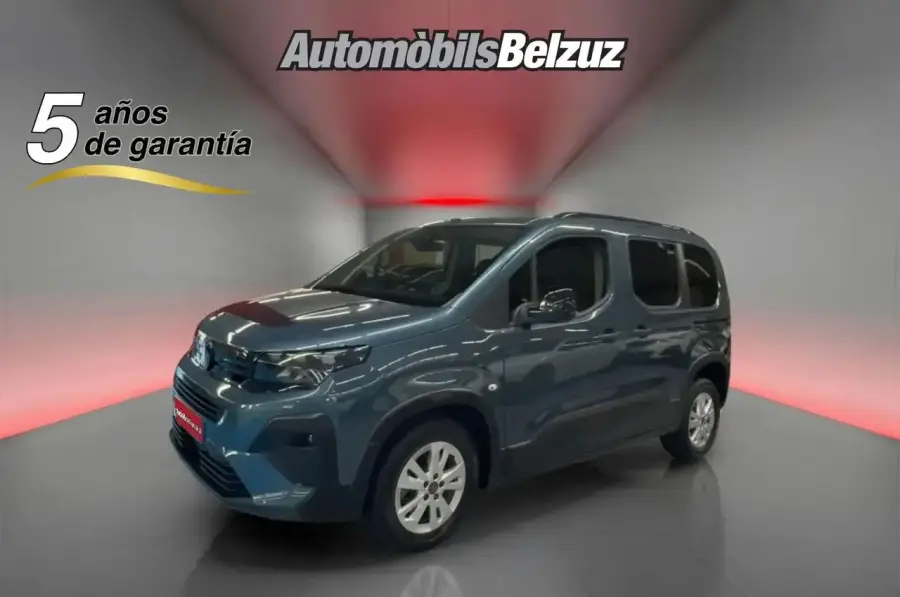 Brugt Peugeot Riffter 