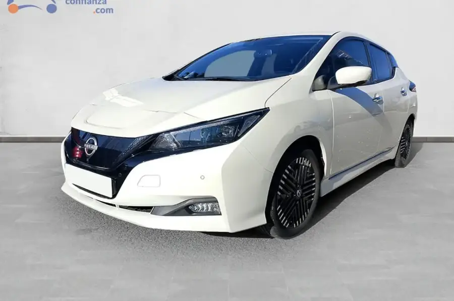 Brugt Nissan Leaf 