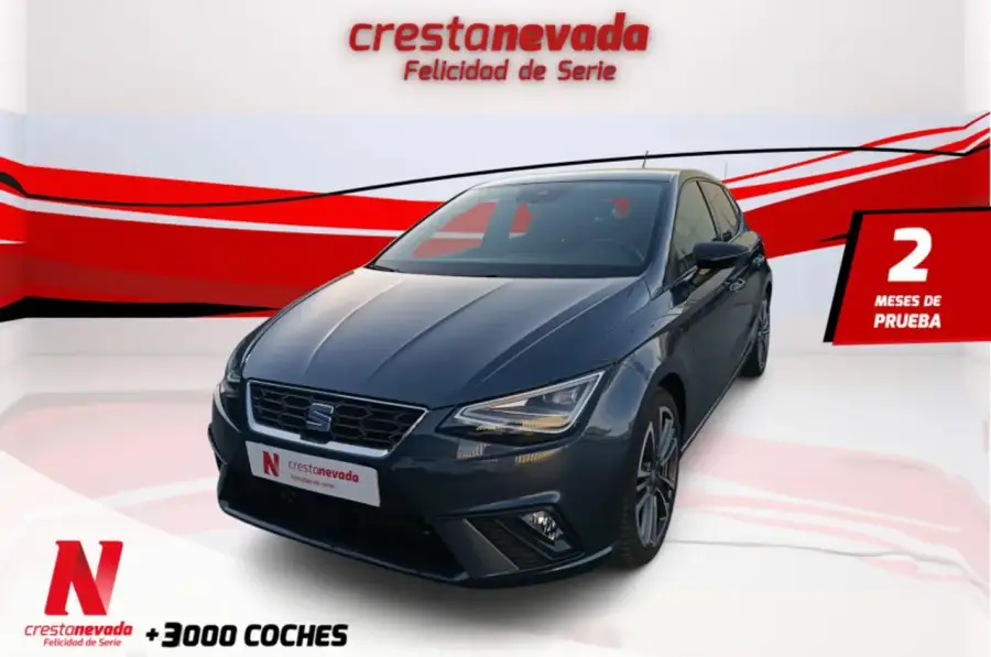 Brugt Seat Ibiza 