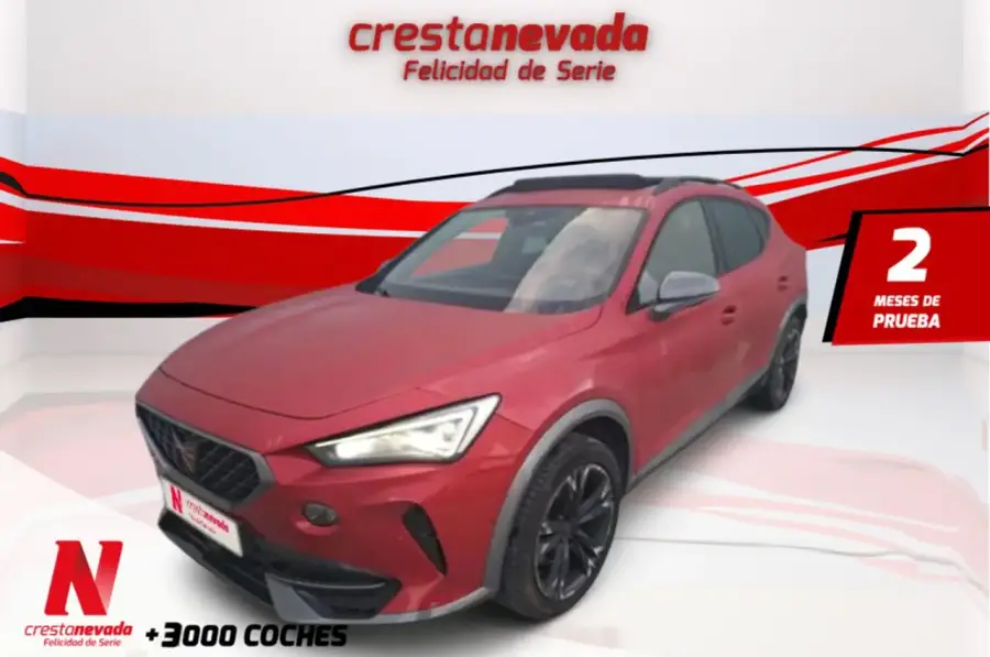 Brugt Cupra Formentor 