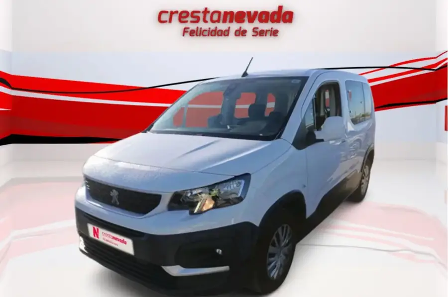 Brugt Peugeot Riffter 