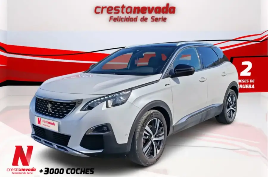 Brugt Peugeot 3008 