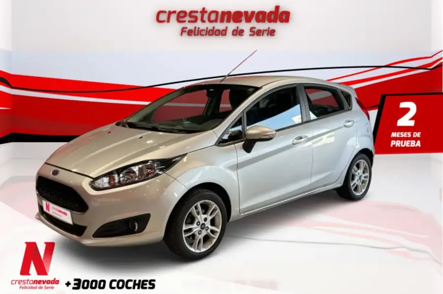 Brugt Ford Fiesta 