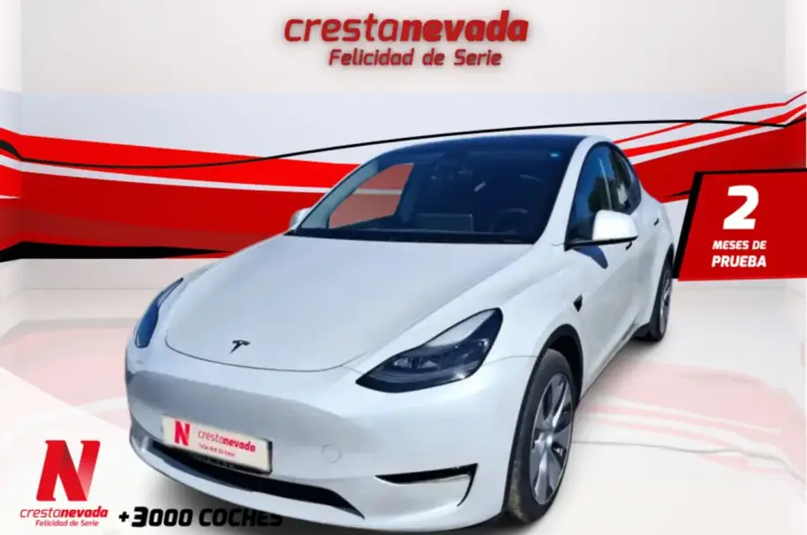 Brugt Tesla Model Y electro