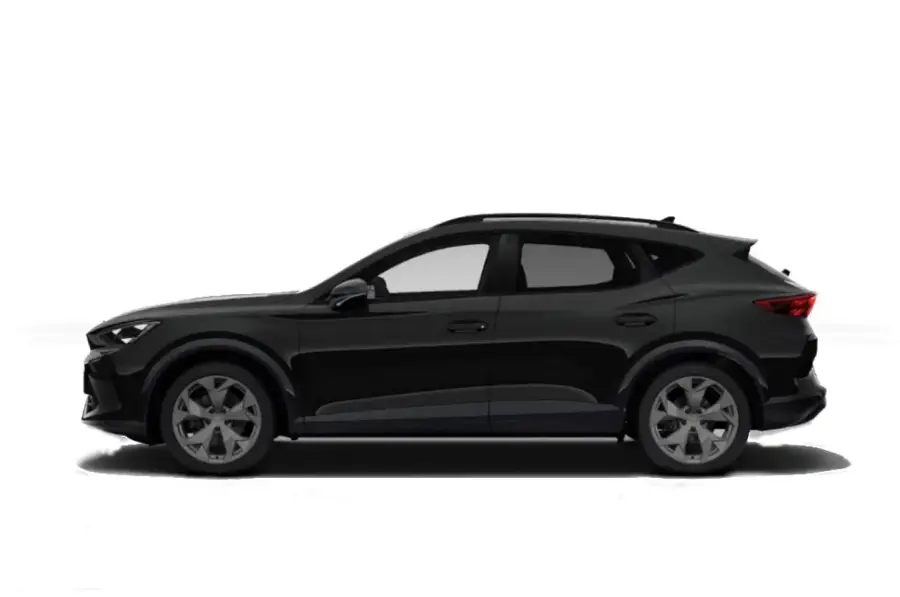 Brugt Cupra Formentor 1.5