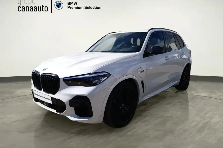 Brugt Bmw X5 