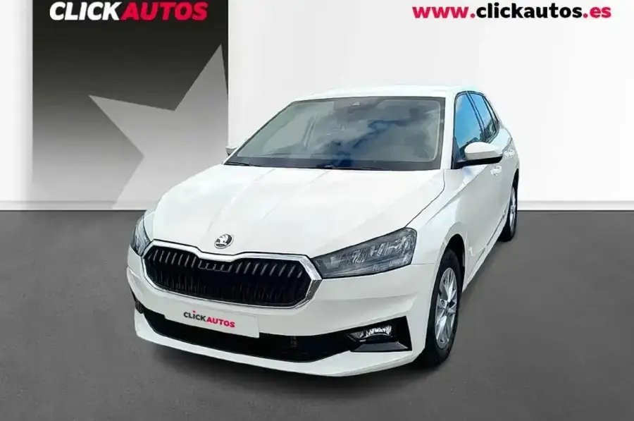 Brugt Škoda Fabia 1.0 dsg tsi
