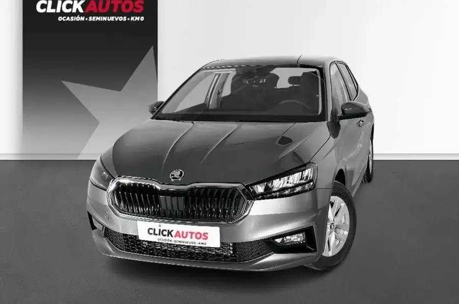 Brugt Škoda Fabia 1.0 dsg tsi