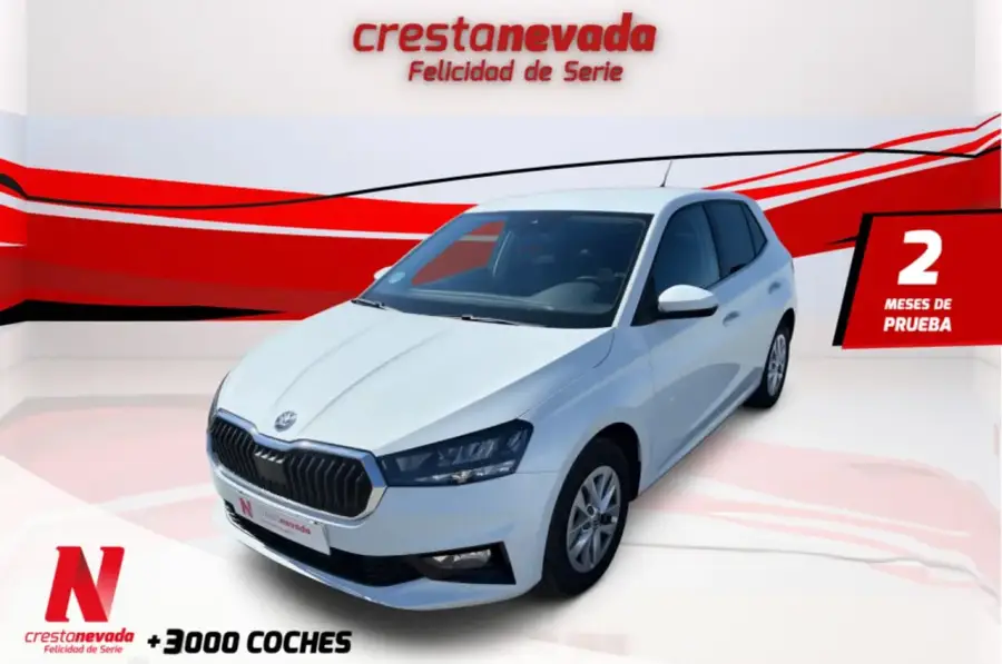 Brugt Škoda Fabia 1.0