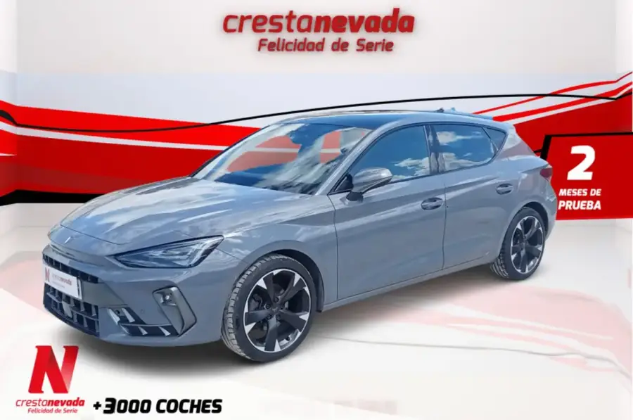 Brugt Cupra Leon 