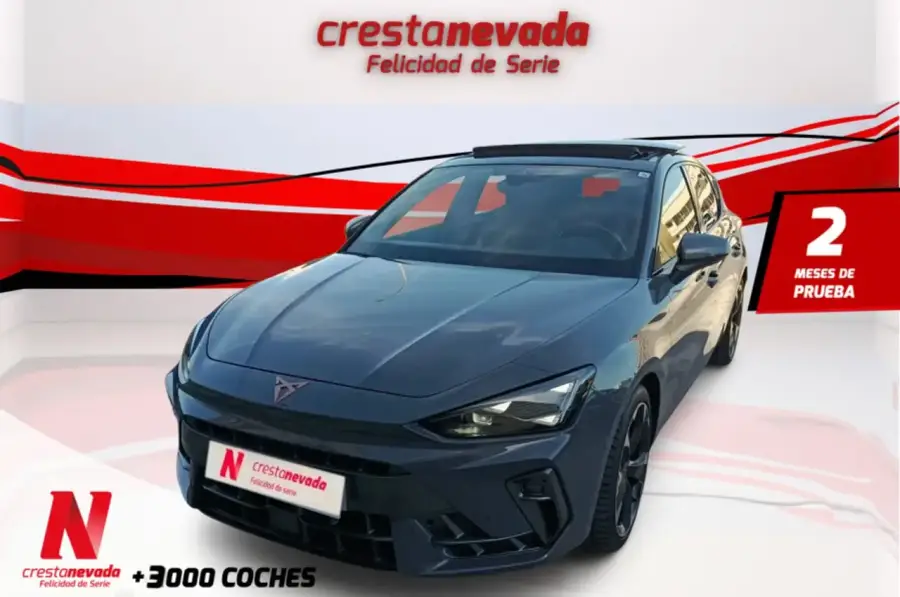 Brugt Cupra Leon 