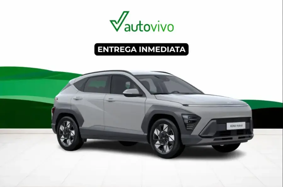 Brukt Hyundai Kona 1.0